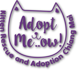 Adopt Meow logo with drop shadow